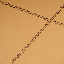 12 - 100X70 "
